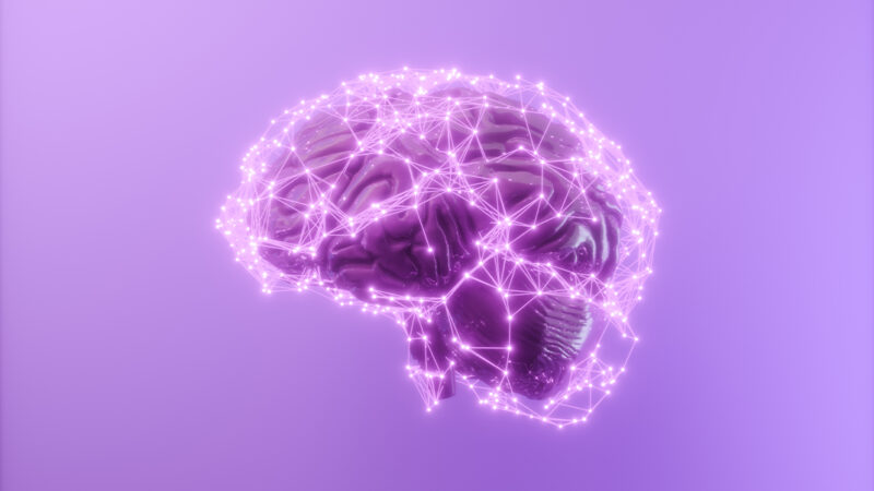 Réseaux neuronaux d'un cerveau