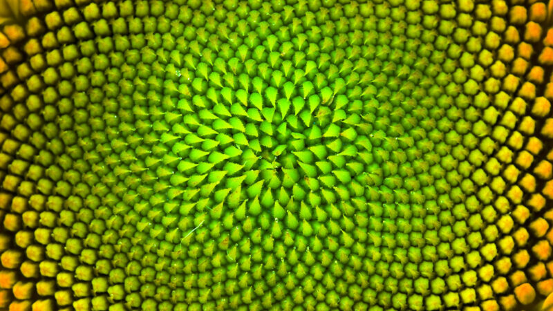 image symbolique