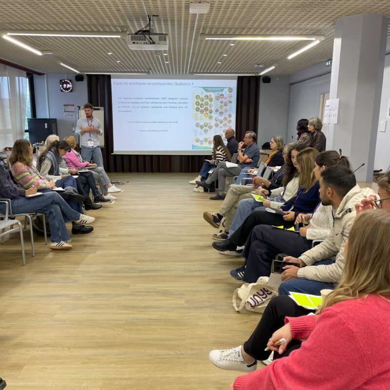atelier participatif : les inscrits sont assis en U et regardent ce qui est projeté au mur.